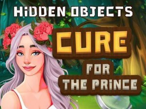 Hidden Objects Cure For The Prince Online Puzzle Game