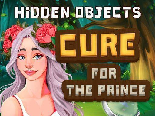 Hidden Objects Cure For The Prince Online Puzzle Game