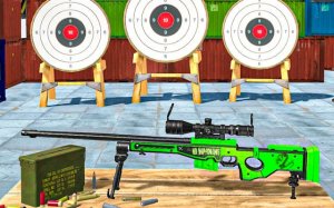 Target Precision Shooting: First Person Aim Challenge