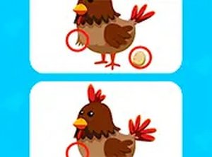 Find the Visual Clues Challenge