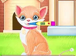 Take Care Princess Kitten - Caring Dress Up Game Online