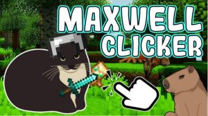 Whisker Tap Adventure